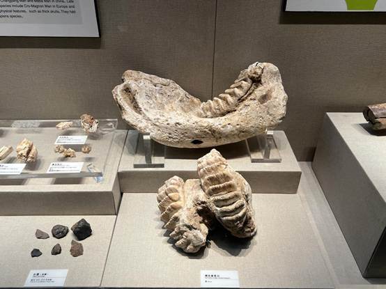 b31f0b0c252ca57524c6cd9db23d2a1