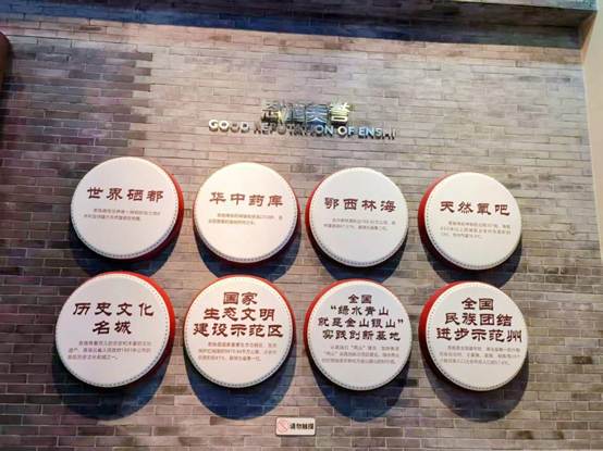 80a9d3bc92fd7de739327b121bf9a55