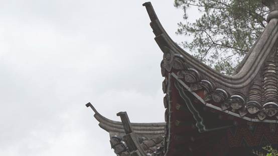 c8b241cfac788790242560d62d86f03