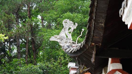 b823d84fdcd06bb8b75311201357d8b